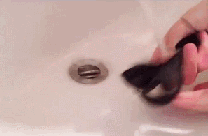 6a420a0448c84946b5f3d4367d4608a9.gif