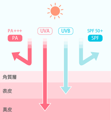 73c9ef6661564e659a8a0532cf570901.png