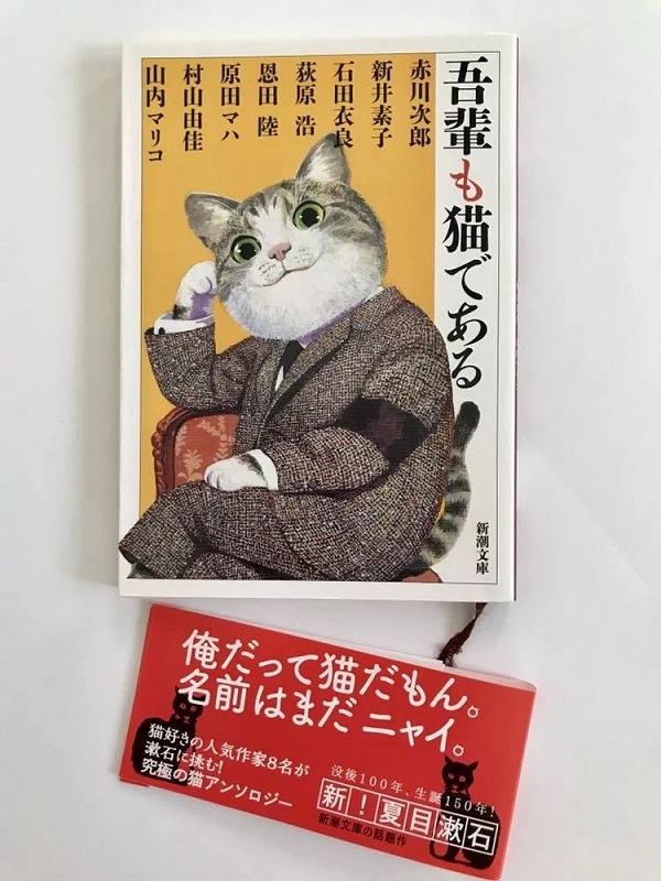 日本人为何这么喜欢猫