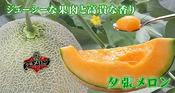 d57c1b92c7d94314addc26d22a8c59c9.jpeg