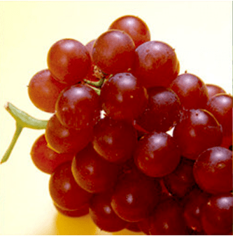 031912eb32c34b6884d0d25c4c941896.png
