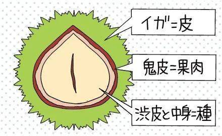 2ad15c1c988a4853a859af1a75031cca.jpeg