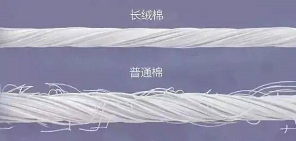 33ebf2fc419e4e69b2cf8c96e9366962.jpeg