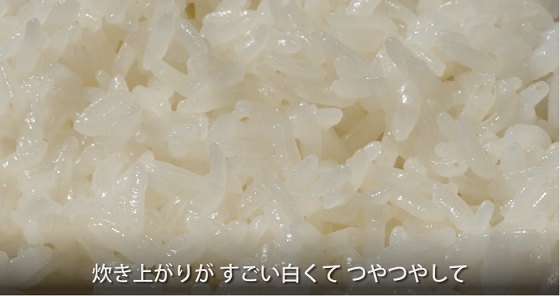 fa259a3696644b9cb31ce6ef9fe2f0b8.png