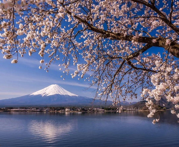 6a08617c1395484580e39bfe444534a2.jpeg