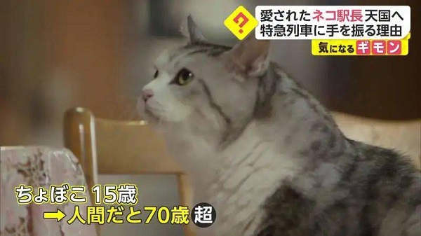 f77d56789fe543f29eae8ae4247c0e25.jpeg