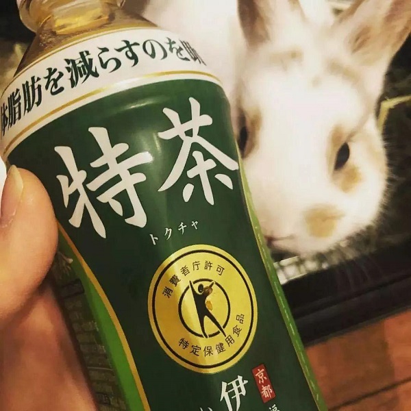特茶——日本消费厅认证的减肥茶