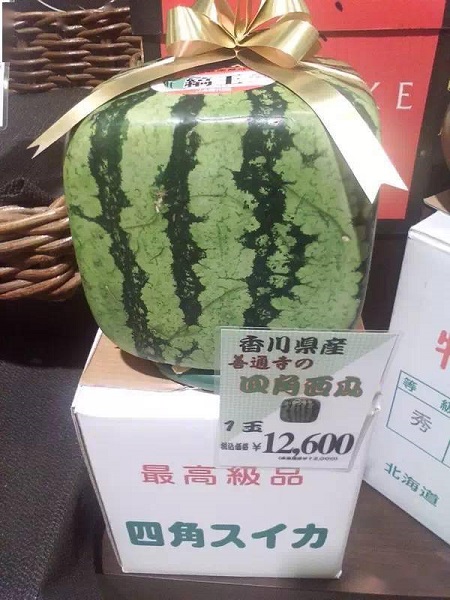 1690184042323554.jpeg c752b263fc5e4704b906c07449bd6025.jpeg