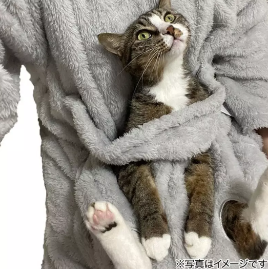 1732857840340132.png image.png