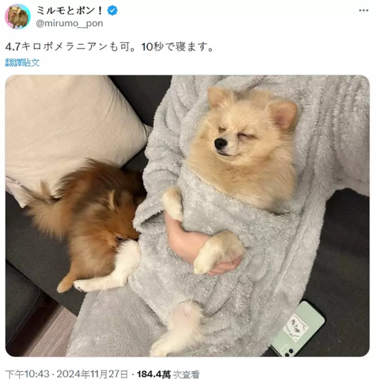 1732857921221096.png image.png